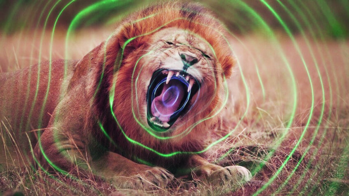 ‘El mundo secreto del sonido’