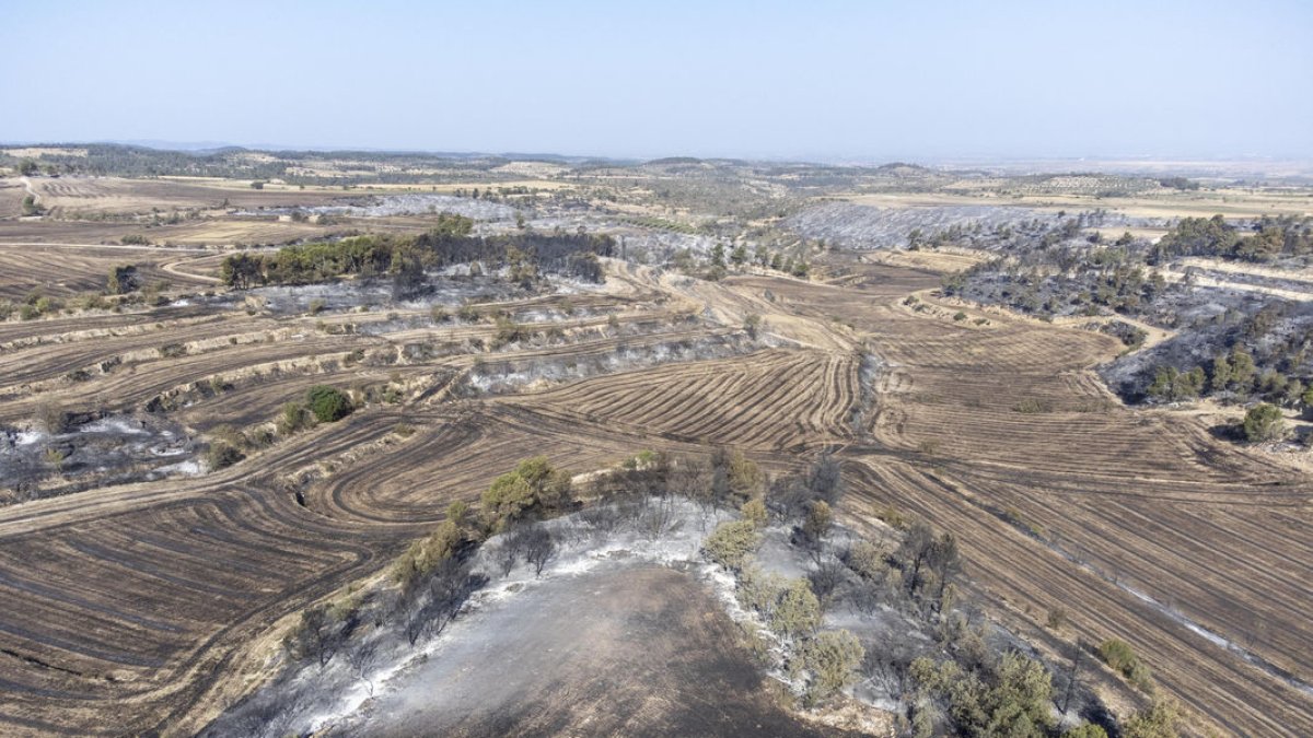 Vista ahir de camps i petits boscos arrasats per les flames. - X. SANTESMASSES