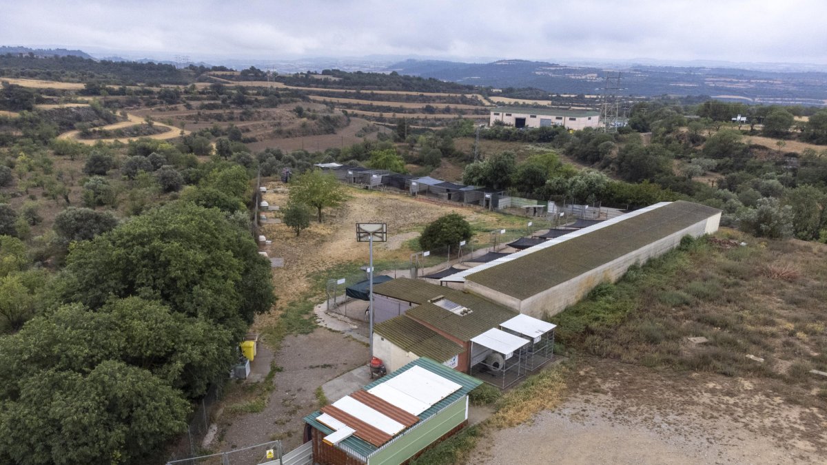 Les actuals instal·lacions de l’associació Refugi la Segarra situades en terrenys de la Paeria de Cervera.