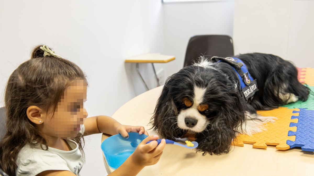 Dar de comer al perro es una de las actividades que se llevan a cabo en las sesiones. - JORDI ECHEVARRIA