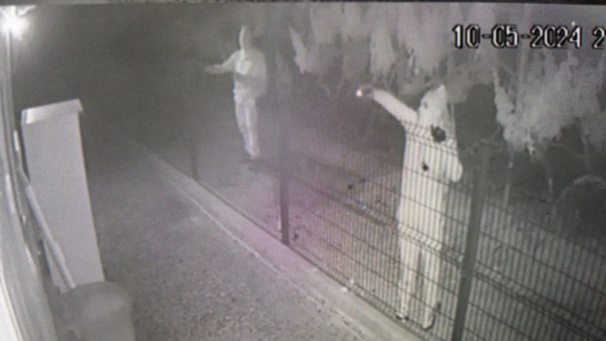 Imagen de archivo de ladrones durante un robo en una vivienda de l’Horta.