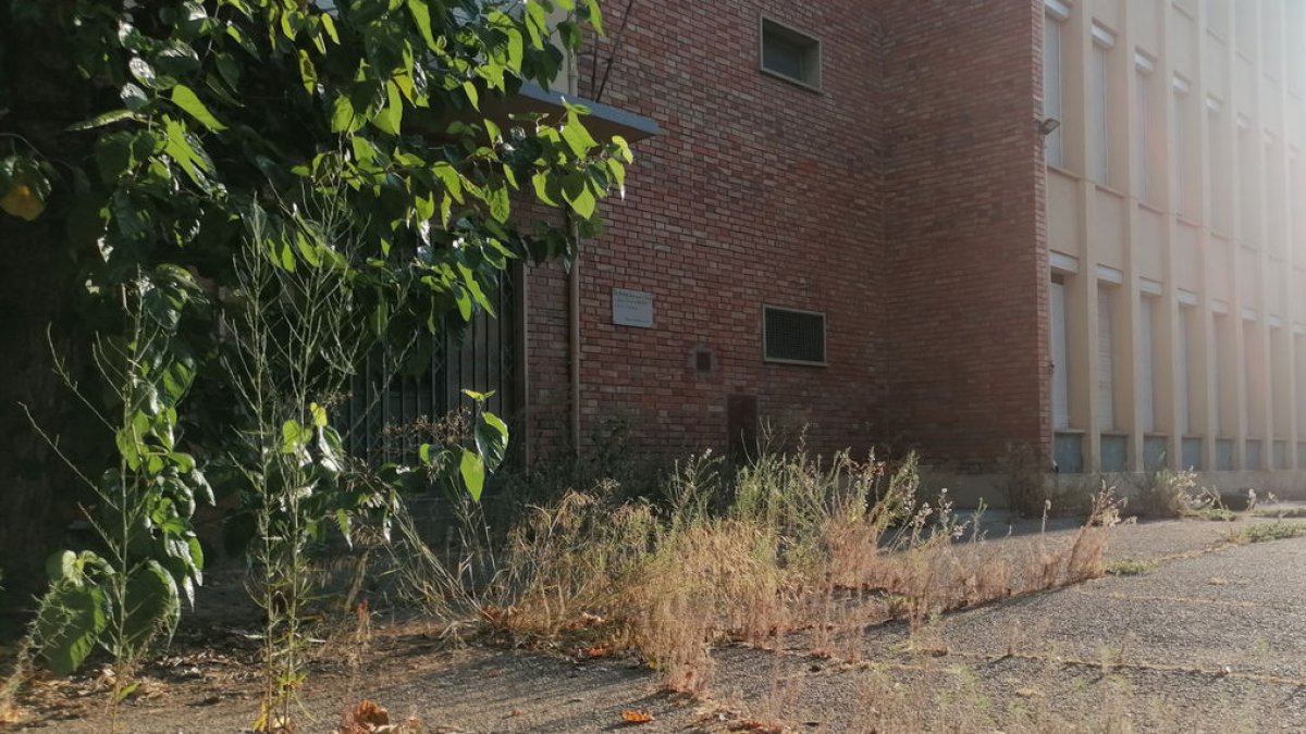 La malas hierbas están colonizando partes del patio del antiguo colegio Balàfia, cerrado y ubicado en la calle Valls d’Andorra. - S.E.