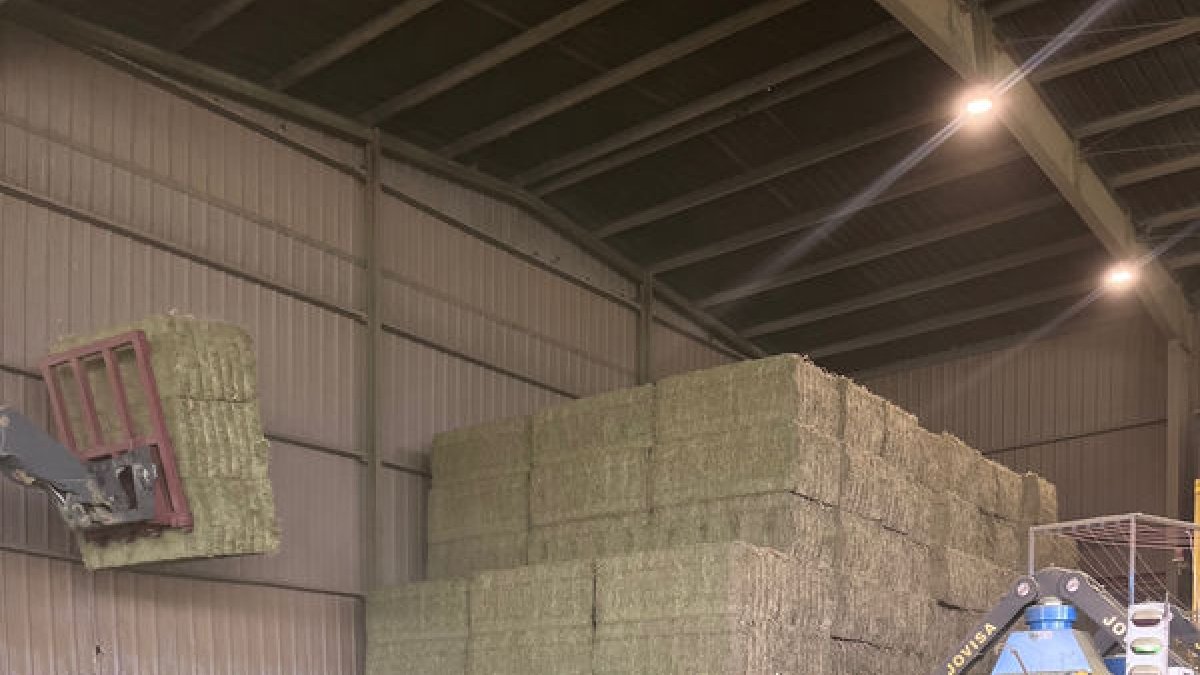 Lleida es una de las grandes líderes del Estado en la producción y transformación de los forrajes. - AEFA