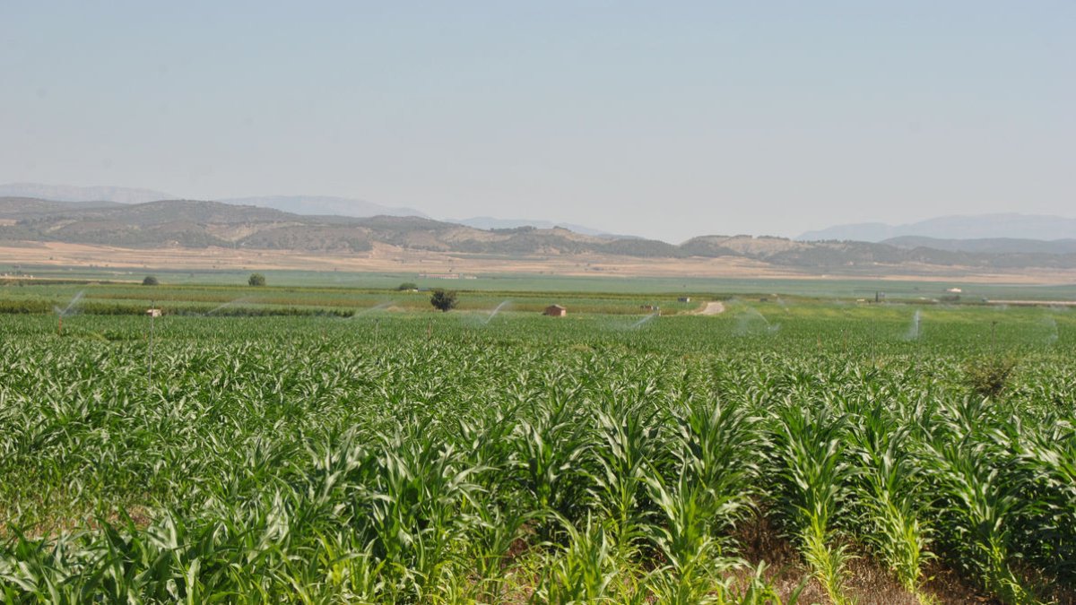 L'aigua va transformar la Noguera - E. FARNELL
