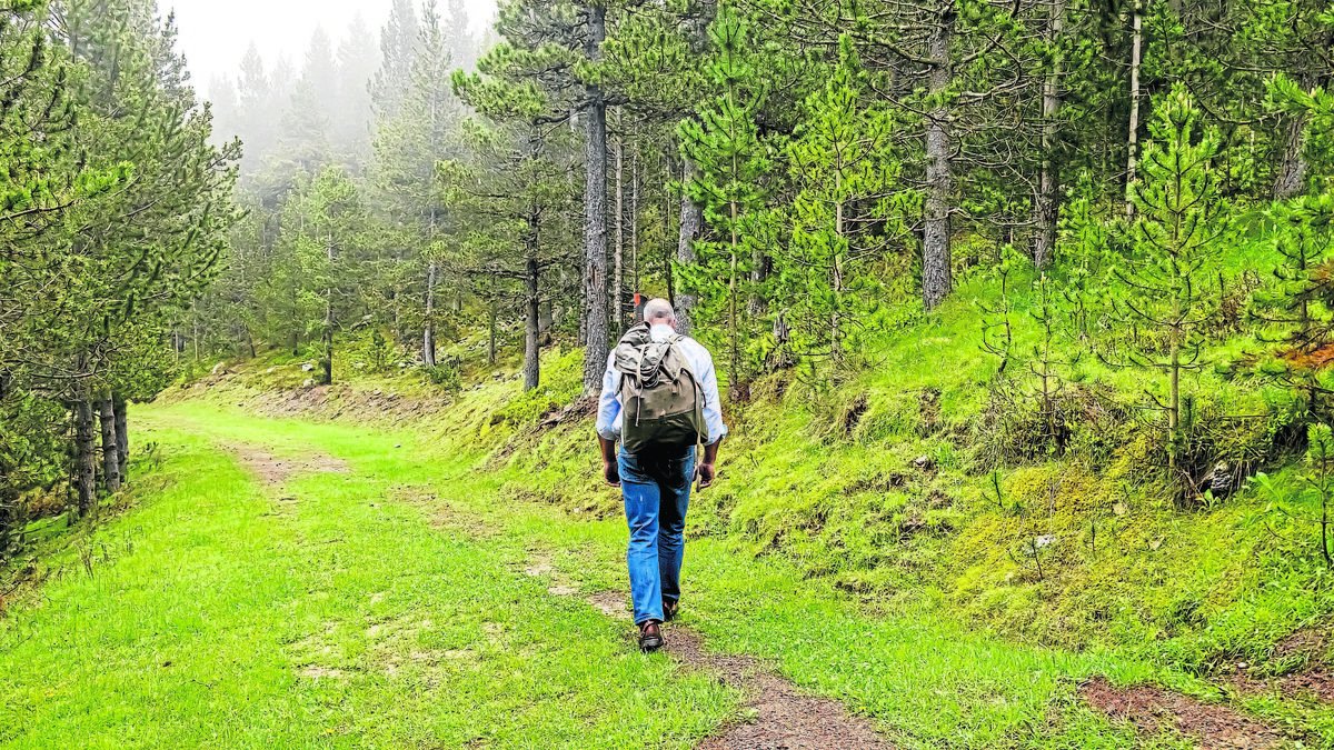 Un contrabandista ja retirat encara una de les pistes que comuniquen Andorra amb l'Alt Urgell. - JORDI ECHEVARRIA