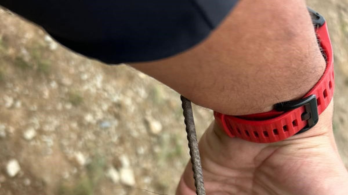 Al lloc de l’atac s’ha detectat pèls i excrements d’os. - C.G.A.