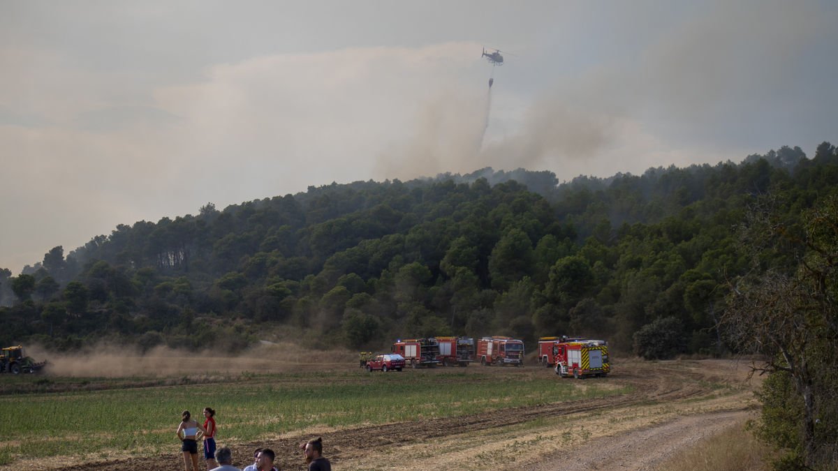 Veïns, agricultors llaurant, bombers i un helicòpter, ahir a la tarda a la zona del foc. - GERARD HOYAS