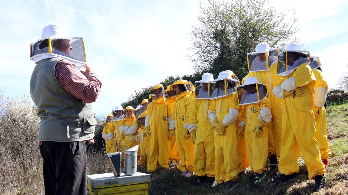 Apiària acerca a los niños la apicultura y el papel ecológico de las abejas - MAR MARTÍ (ACN)