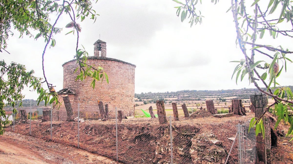 Polémica en Cervera por una tala de árboles en un yacimiento - LAIA PEDRÒS
