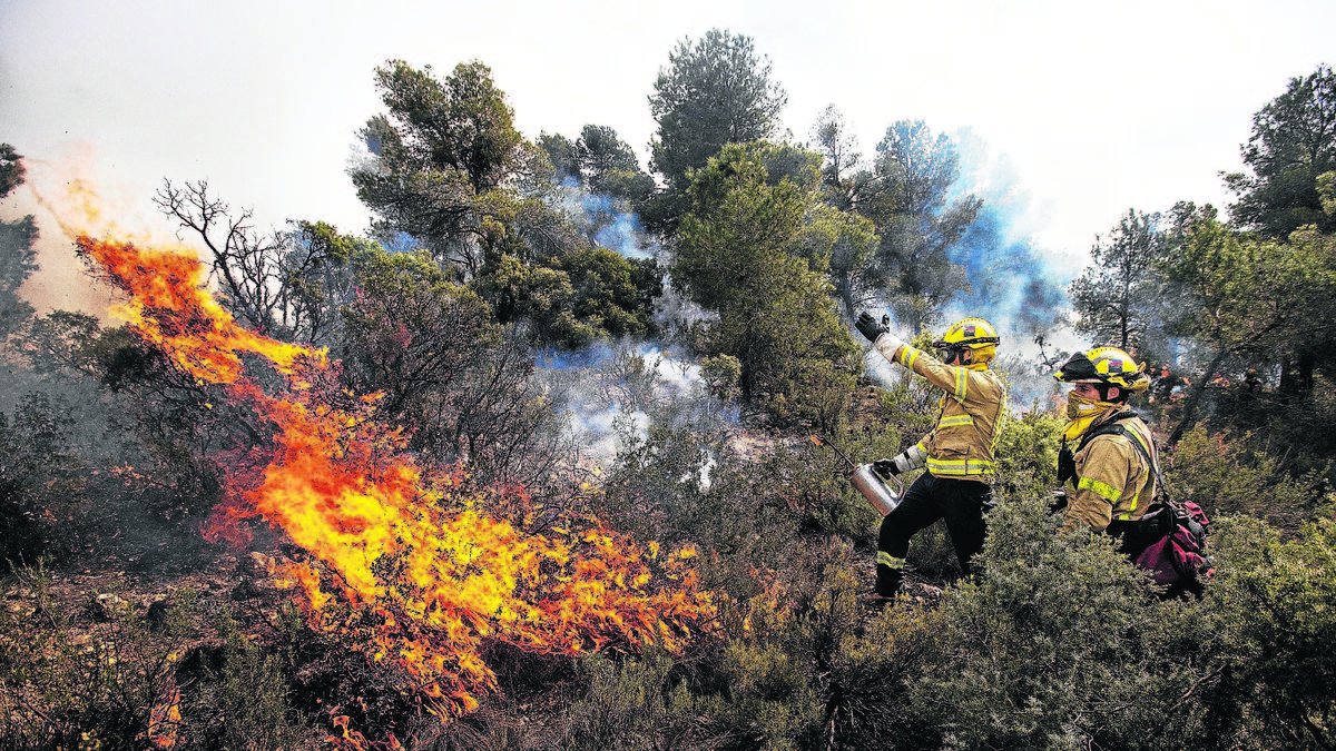 Imatge d’arxiu d’una crema controlada. - SEGRE