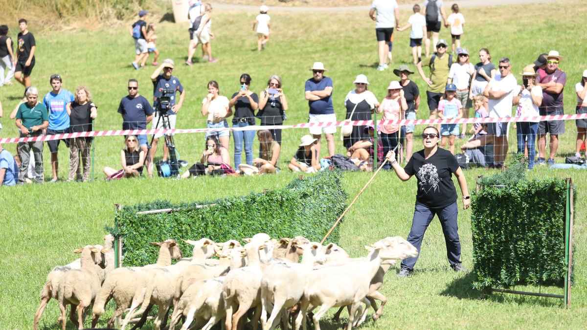 Tres pastoras participaron con sus perros en esta edición del Concurs de Gossos d’Atura de Llavorsí. - EDGAR ALDANA