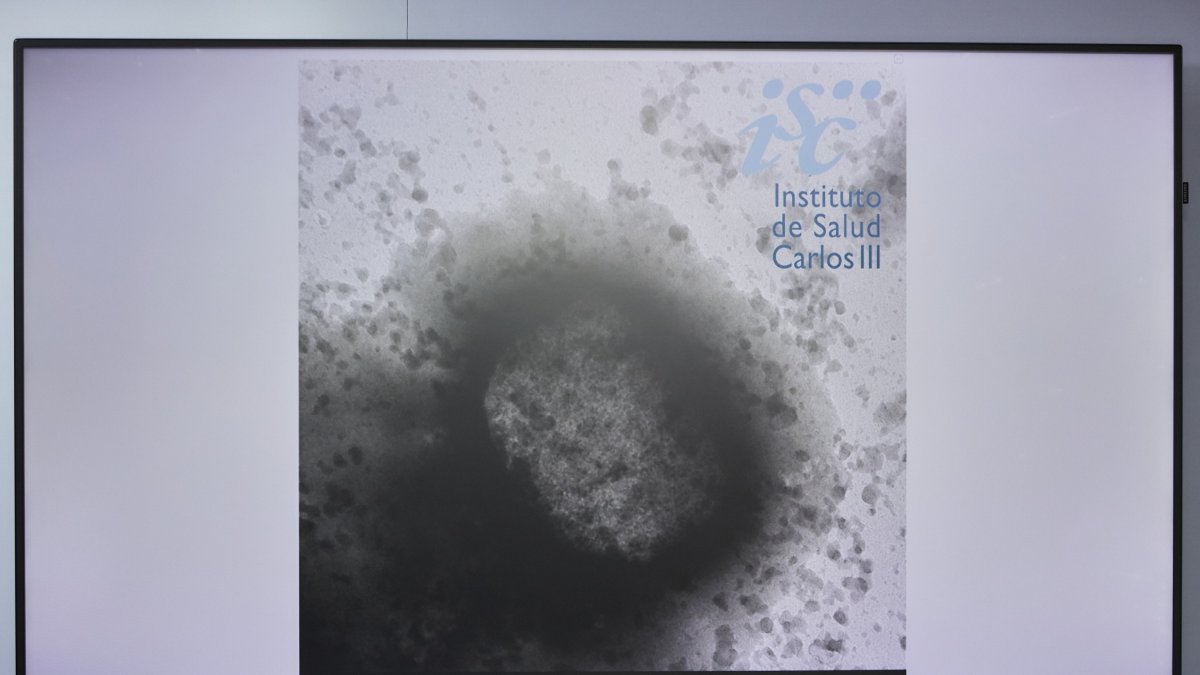 Una molècula de la verola del mico..