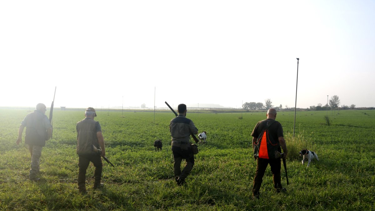 Grup de quatre caçadors caçant guatlles a Sidamon a l'inici de la mitja veda a Ponent.