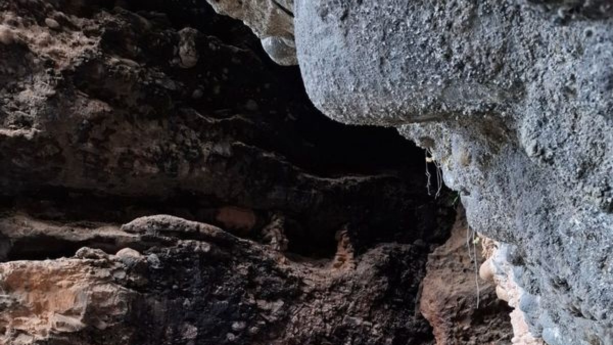 Visita en grupo de expertos a la Vall de Serradell. - ACN/REHABIMED
