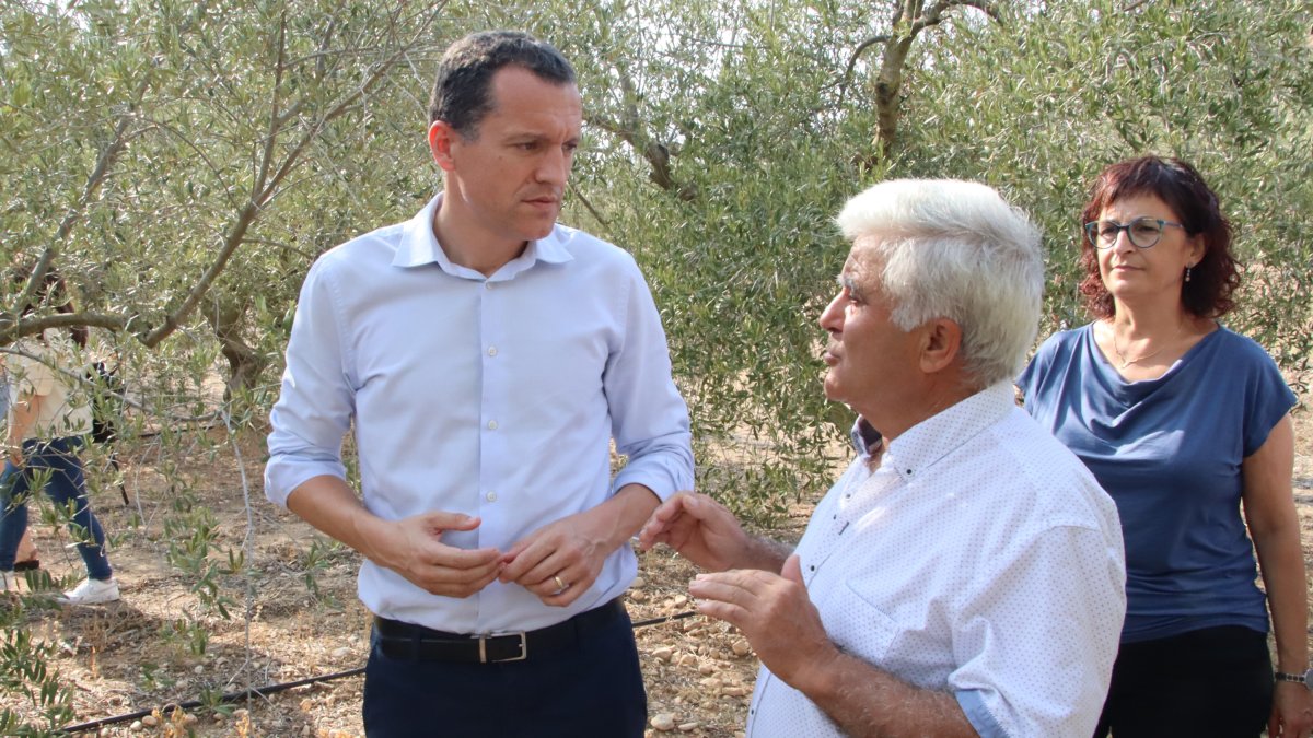 El conseller d'Agricultura, Òscar Ordeig, amb el president de la Cooperativa de Cabacés, José Antonio Robles, durant la visita a una finca d'oliveres