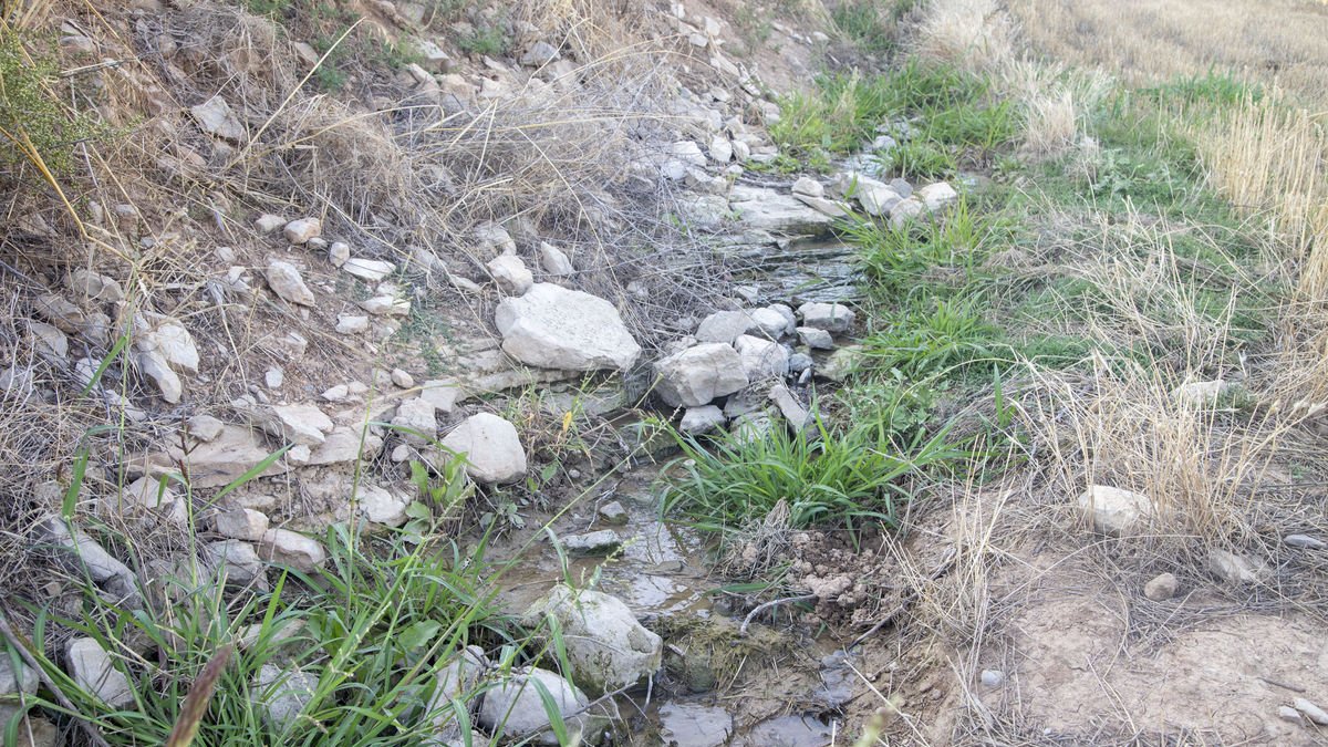 Fuga d'aigua al poble de la Curullada - LAIA PEDRÓS