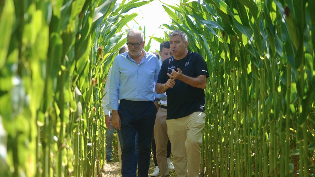 Un momento de la presentación de la sexta edición de Laberint de Panís de l'Horta de Lleida.