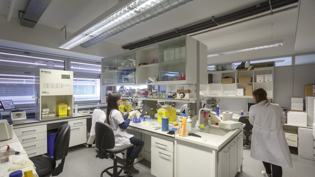Un laboratorio del Institut de Recerca Biomèdica IRBLleida. - IRBLLEIDA