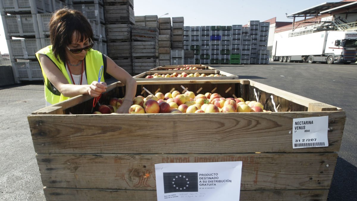 El veto rus va obligar a retirar bona part de fruita de pinyol el 2014. - SEGRE