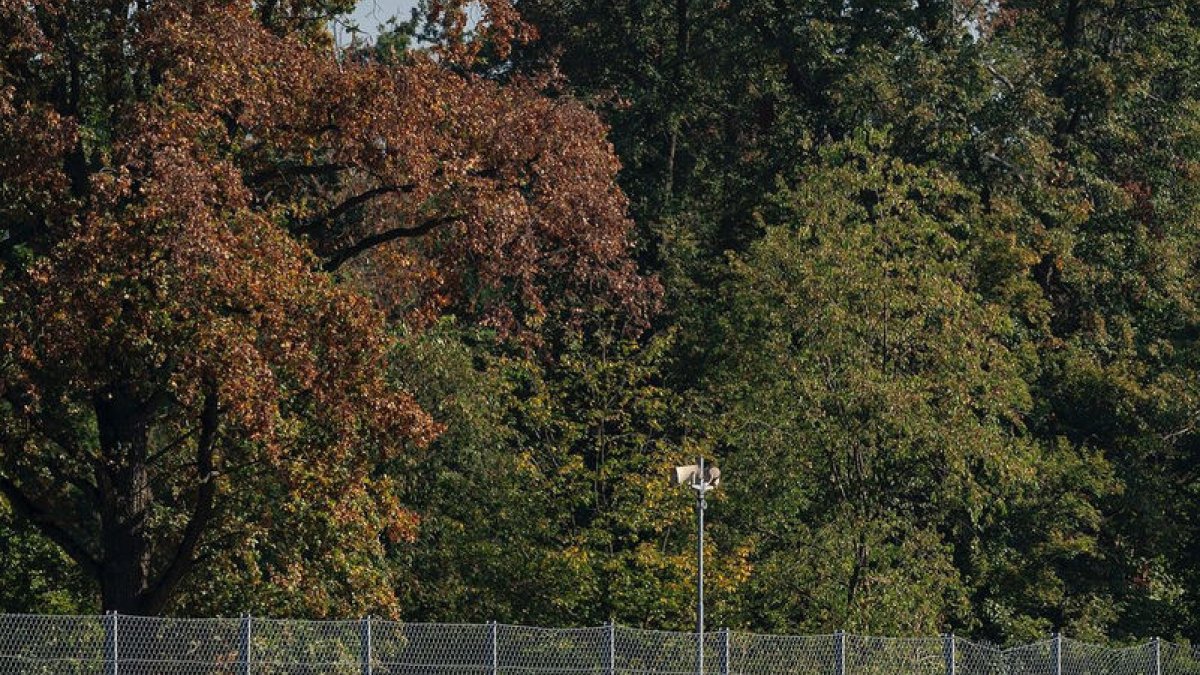 Boya, rodant durant el cap de setmana a Monza.