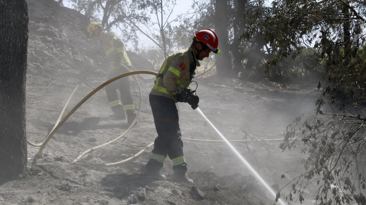 Un bomber remulla una zona forestal afectada per l'incendi de Ciutadilla.