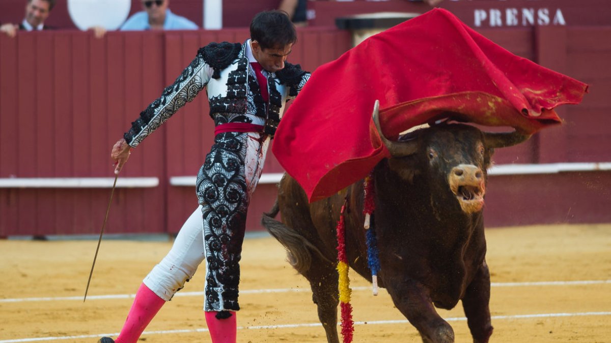 Un torero participa en una jornada taurina a Màlaga. - EUROPA PRESS