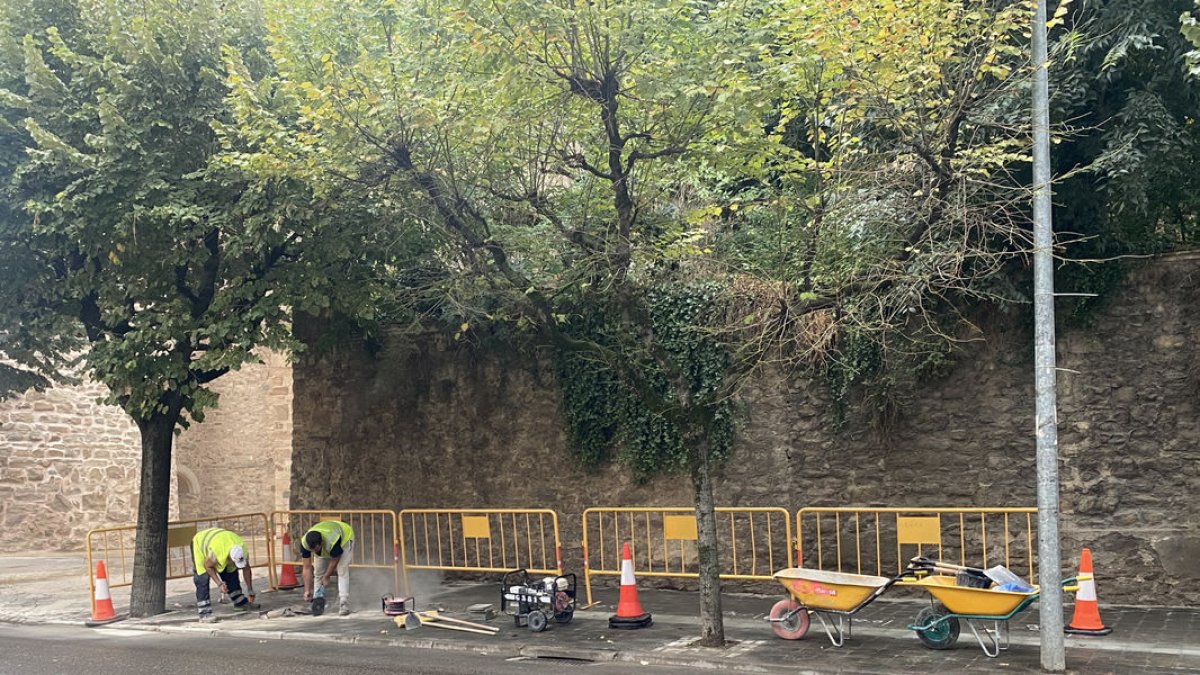 La Generalitat despliega la fibra óptica en el centro urbano de la capital - EDGAR ALDANA