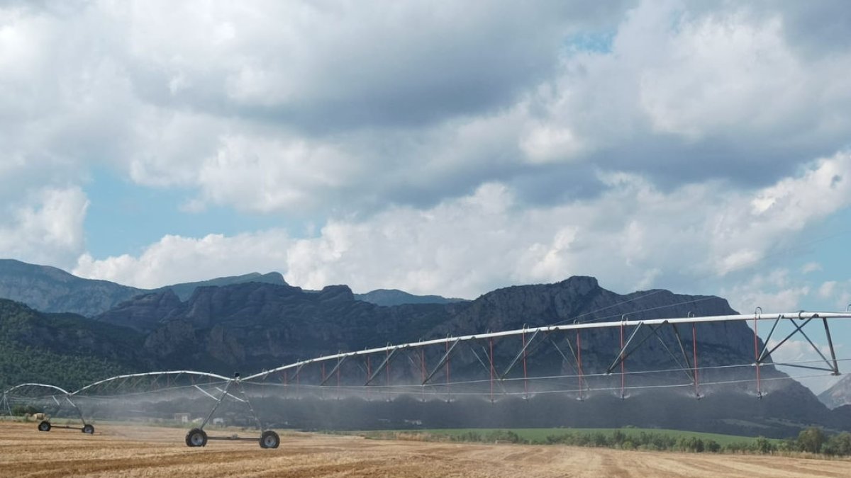 Los agricultores han invertido una media de 6.000 euros por cada hectárea para hacer llegar el agua hasta sus tierras. - COMUNITAT DE REGANTS PERAMOLA I BASSELLA