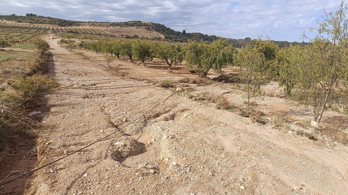 Muchos tubos de los sistemas de riego de apoyo han quedado al descubierto. - A.C.