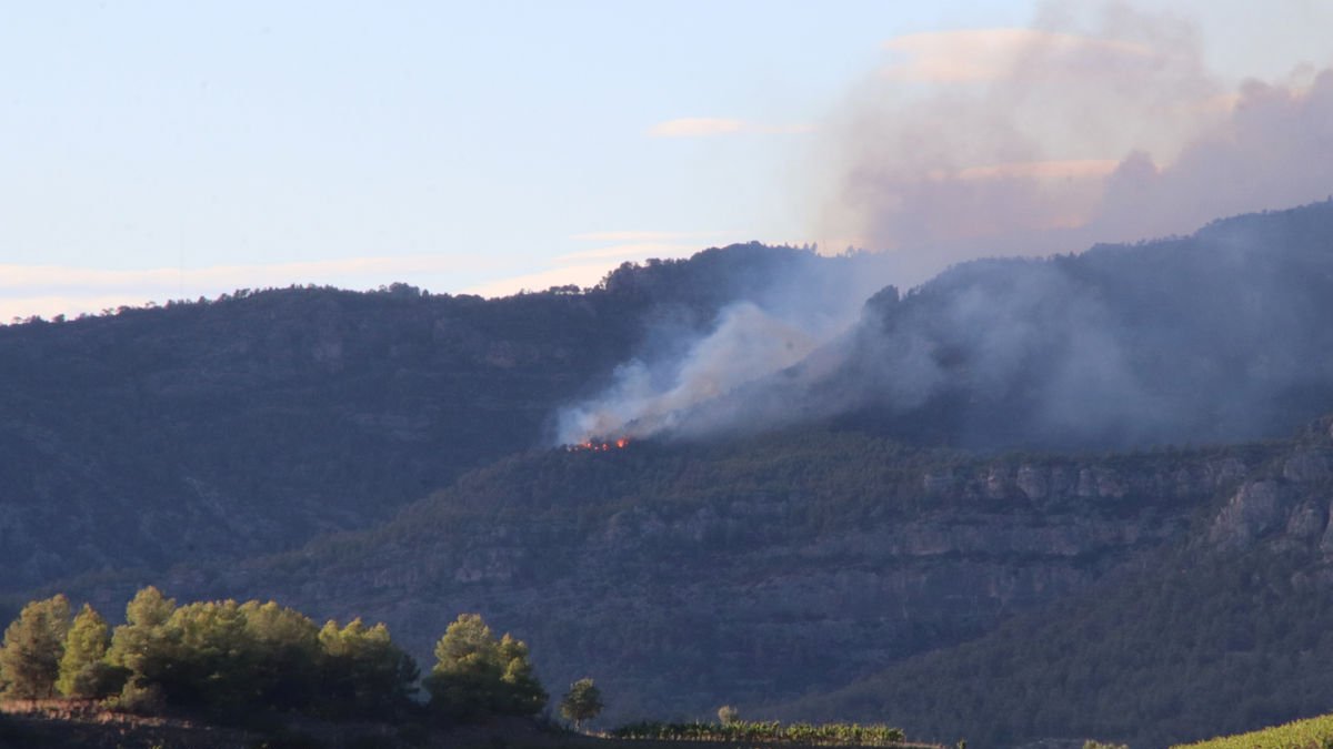 Las llamas que quemaban en Cabacés vistas desde el pueblo de Gratallops. - ACN