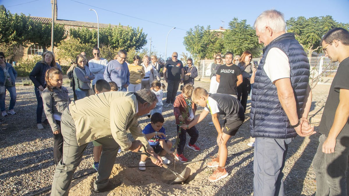 Varios participantes durante la plantada del almedro como símbolo de unidad entre ambos pueblos. - LAIA PEDRÓS