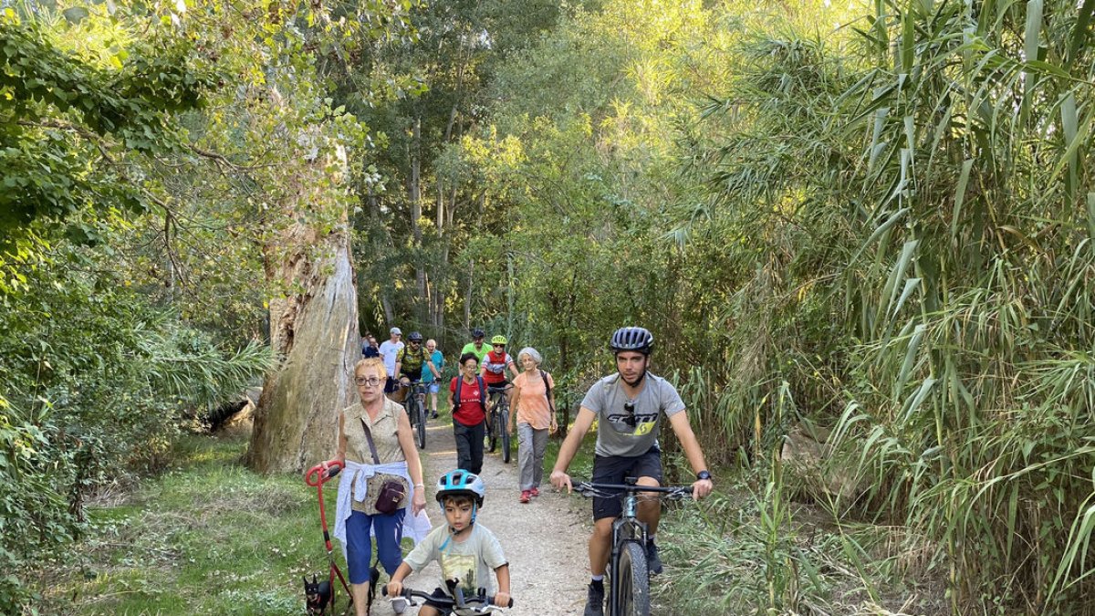 Caminada contra el tall del camí del Riu la setmana passada. - DAVID SANCHO