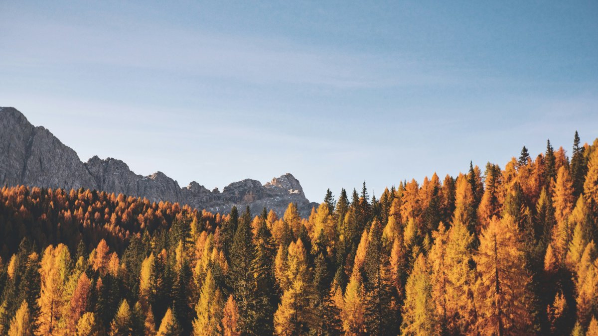 Imagen de archivo de un paisaje de otoño.
