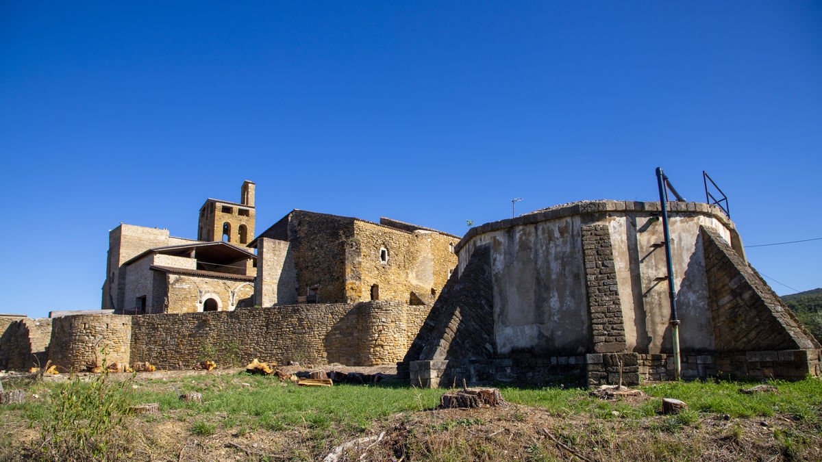 La parcela pública en la que se talaron los pinos. - GERARD HOYAS