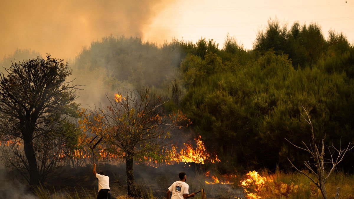 Dos jóvenes intentan contener un incendio en Portugal. - EFE