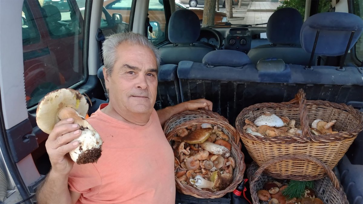 Un buscador de setas en una imagen de archivo.