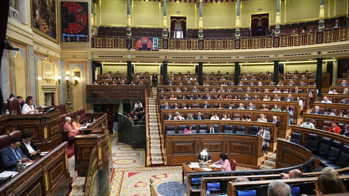 Vista general de l’hemicicle del Congrés dels Diputats durant una sessió .