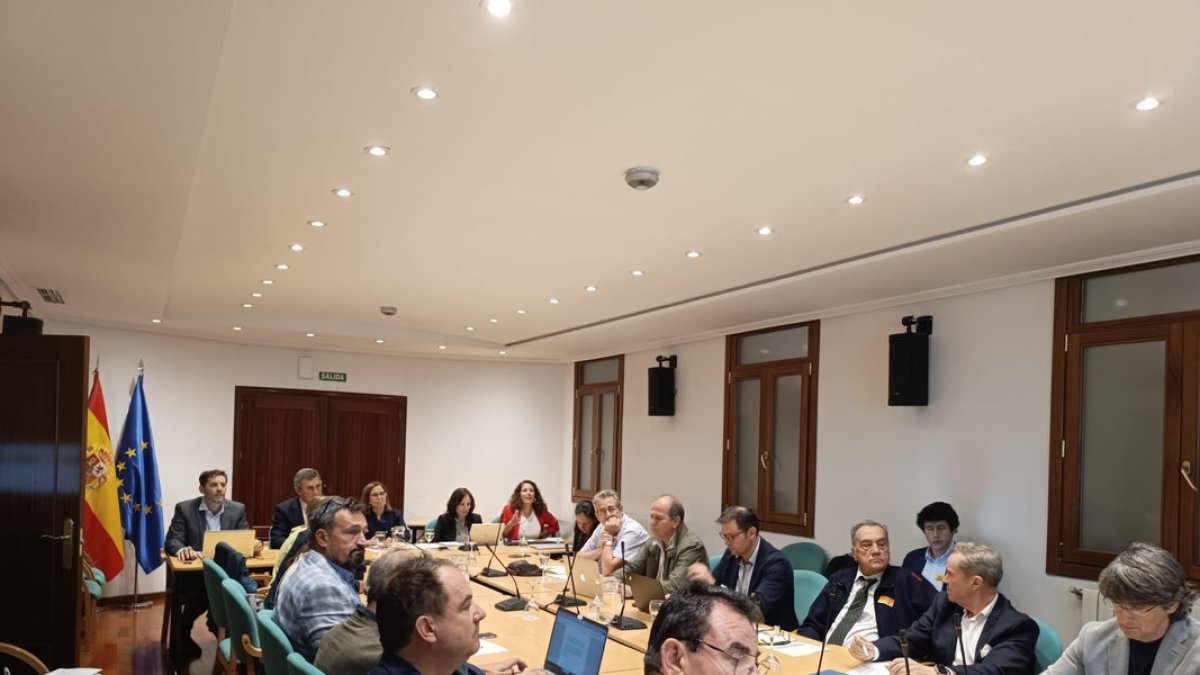 Un moment de la reunió del ministeri amb representants del sector, ahir a Madrid. - MINISTERI D’AGRICULTURA