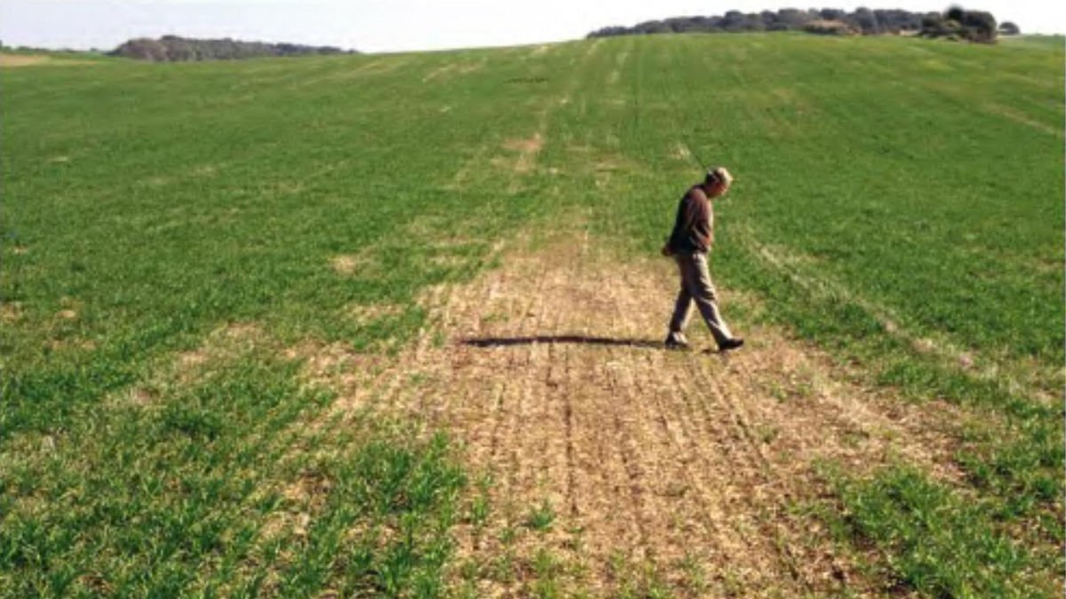 L’embolic de les mesures agràries - WIKIPÈDIA
