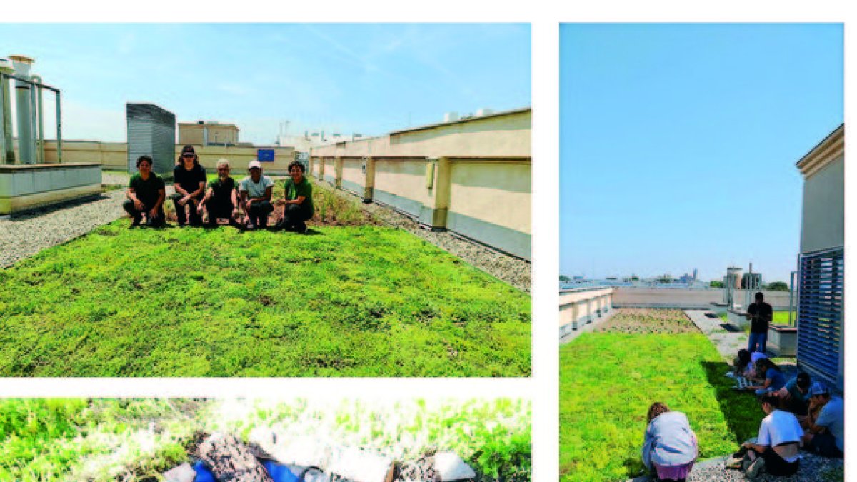 Èxit del projecte de cobertes verdes Big4life, al Parc - REDACCIÓ XXII