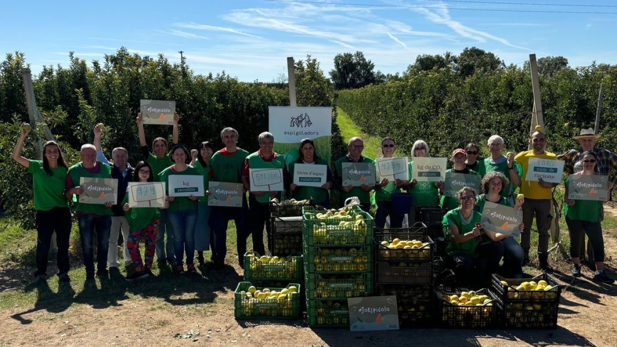 Los participantes en la espigada de Alcoletge. - GOVERN