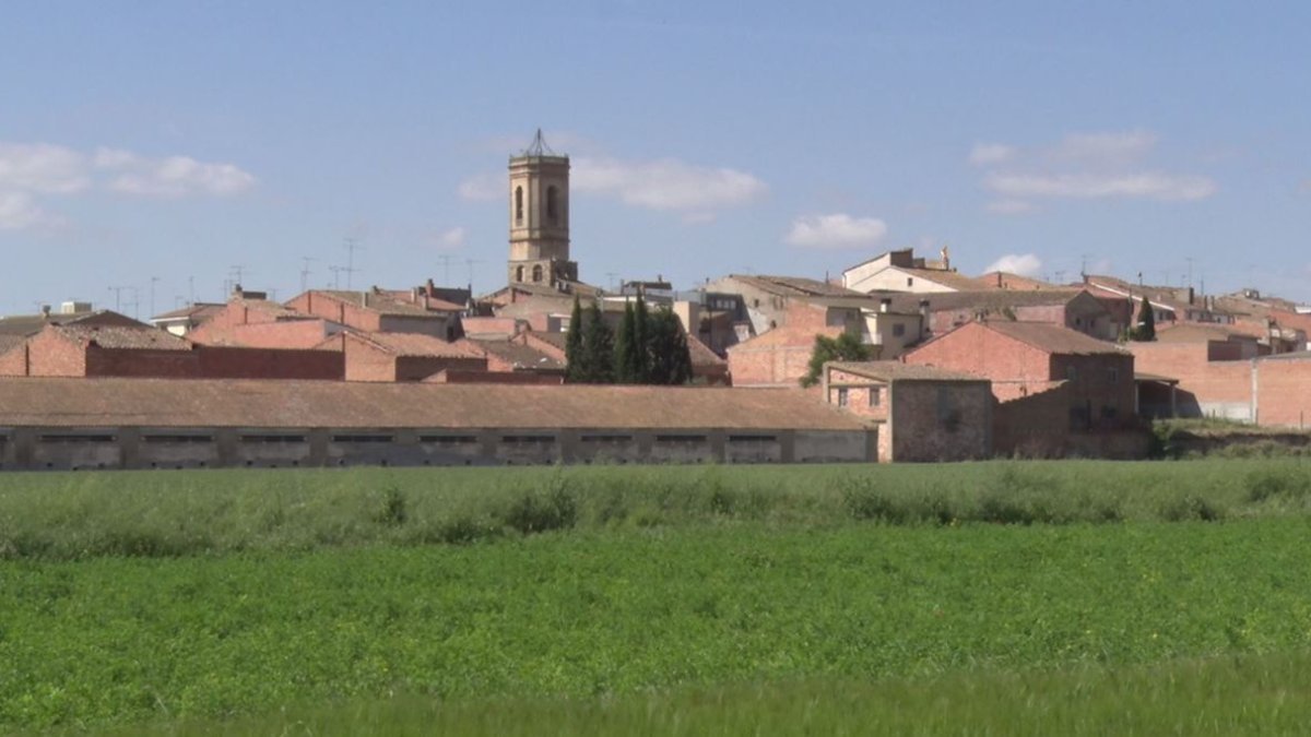 El municipo de Torregrossa. - SEGRE