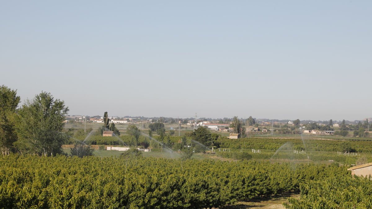 Las condiciones climáticas extremas están dificultando la viabilidad de las explotaciones. - AMADO FORROLLA