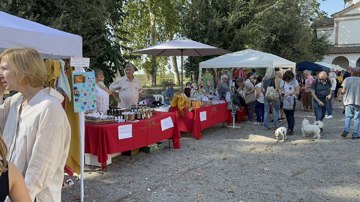 Imagen de la edición de 2023 de la fiesta del Castell del Remei. - RÀDIO BALAGUER