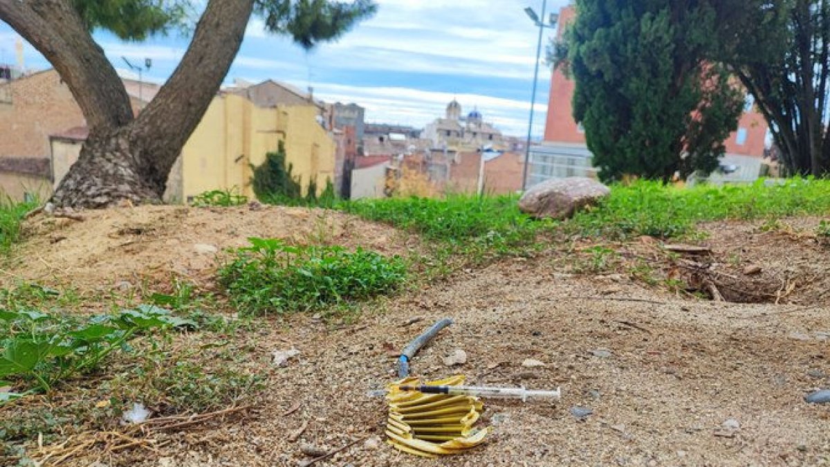 Xeringues tirades al Turó de la Seu Vella. - SOM VEÏNS