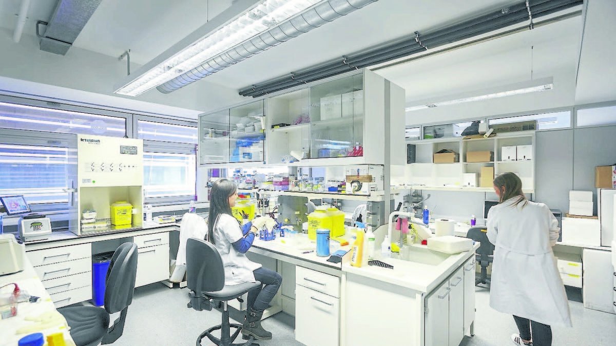 Un del laboratoris de treball de l’IRBLleida. - SEGRE