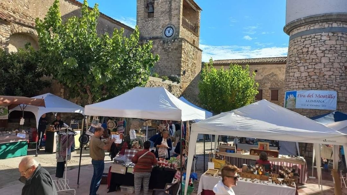 La fira va comptar amb un total de 35 parades. - AJUNTAMENT DE LLIMIANA