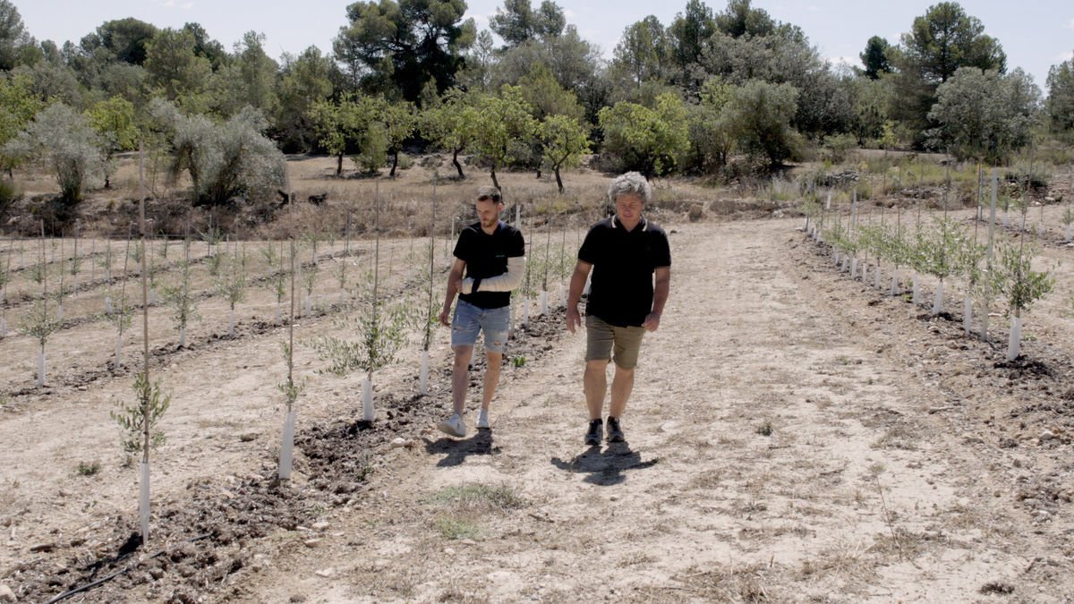 Joves pagesos de la Granadella en plantacions d’oliveres al municipi. - ÒSCAR MIRÓN
