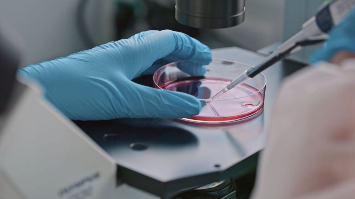 Nous avenços contra el càncer - RTVE