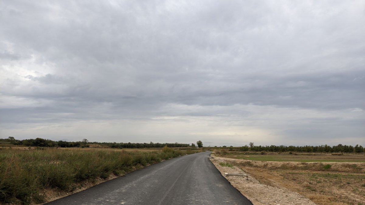 Un tramo del camino de Mas de Colom, ruta muy transitada. - AJUNTAMENT DE VILAGRASSA